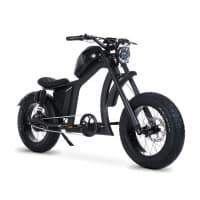 BIGNIU Bicicleta Elétrica Para Adultos, Motor Sem Escova De 800 W, 48 V / 22,5 Ah - Marketplace